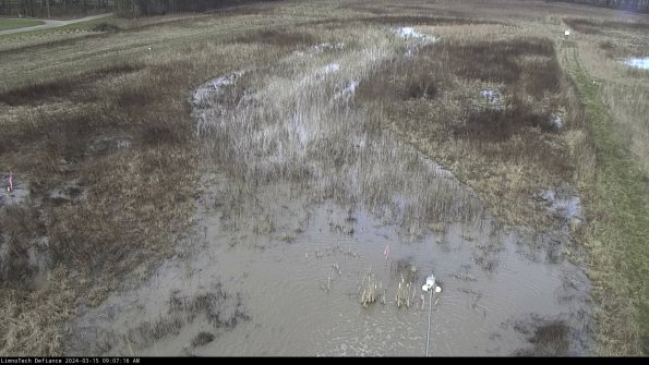 Cell 1_24-03-15_09-07-17-17