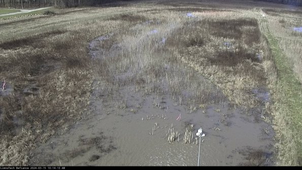 Cell 1_24-03-15_10-14-14-13