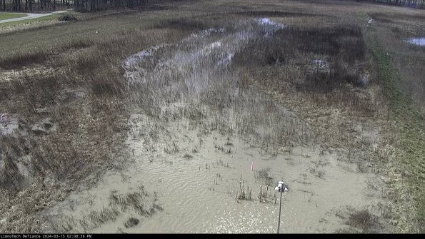 Cell 1_24-03-15_14-08-39-16