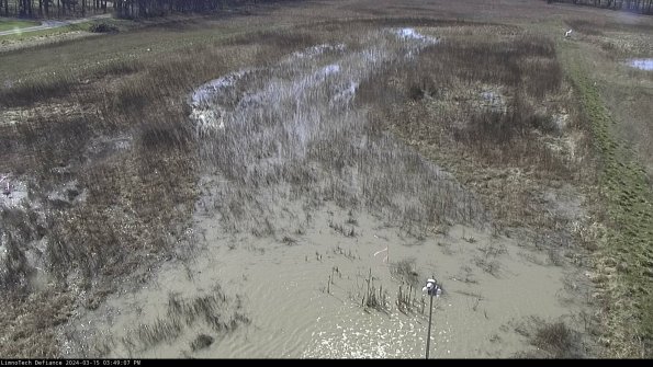 Cell 1_24-03-15_15-49-08-12