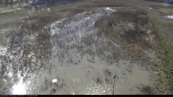 Cell 1_24-03-15_16-56-07-13