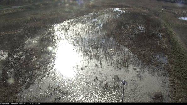 Cell 1_24-03-15_18-03-04-13