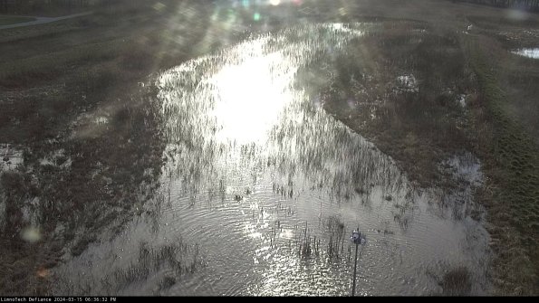 Cell 1_24-03-15_18-36-33-15