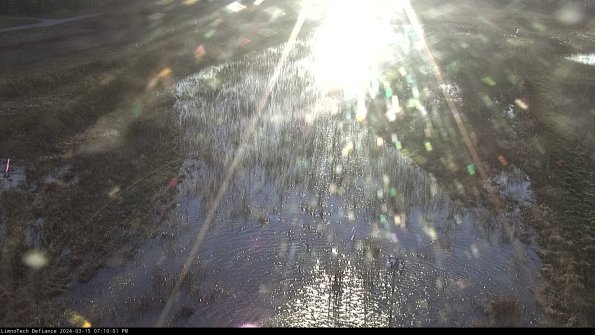 Cell 1_24-03-15_19-10-02-14