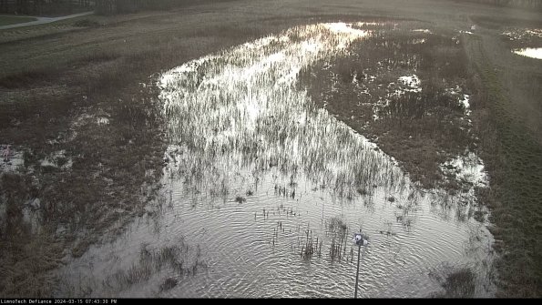 Cell 1_24-03-15_19-43-31-12