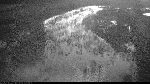 Cell 1_24-03-15_20-17-00-17