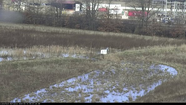 Cell 2 to 3_24-03-15_09-41-25-29