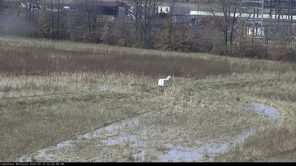 Cell 2 to 3_24-03-15_14-42-49-42