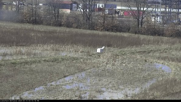 Cell 2 to 3_24-03-15_15-16-19-28