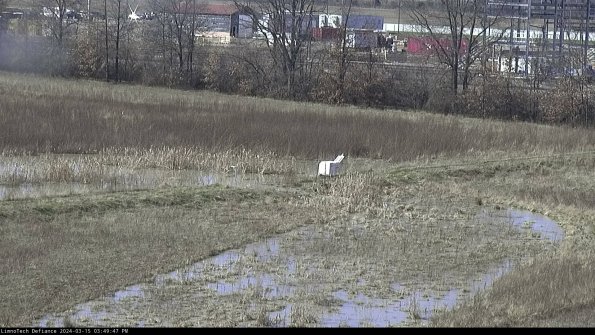 Cell 2 to 3_24-03-15_15-49-48-23