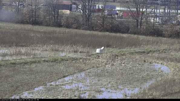 Cell 2 to 3_24-03-15_16-23-17-28