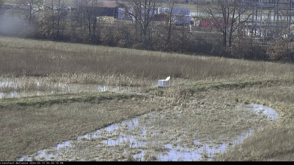 Cell 2 to 3_24-03-15_17-30-15-32