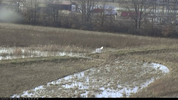 Cell 2 to 3_24-03-15_18-03-44-17