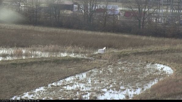 Cell 2 to 3_24-03-15_18-37-13-33