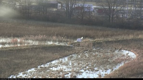 Cell 2 to 3_24-03-15_19-10-42-28