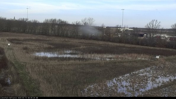 Cell 2_24-03-15_08-40-25-35