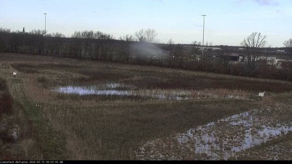 Cell 2_24-03-15_09-07-44-20