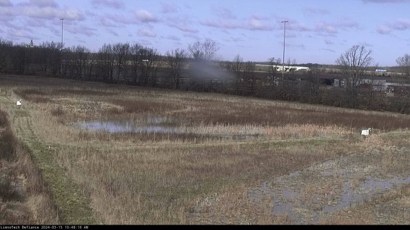 Cell 2_24-03-15_10-48-11-15