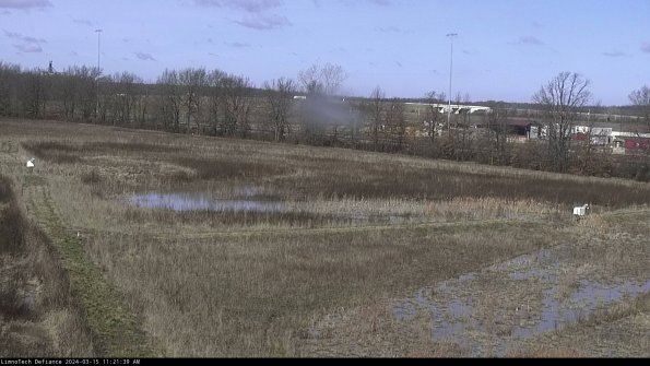 Cell 2_24-03-15_11-21-40-16