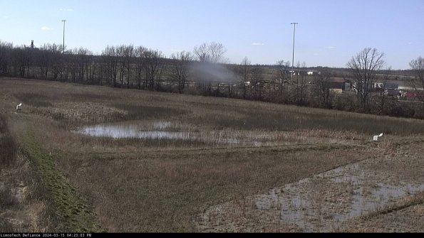 Cell 2_24-03-15_16-23-04-14