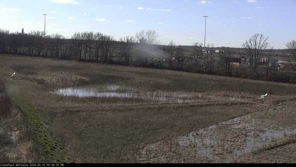 Cell 2_24-03-15_16-56-34-16