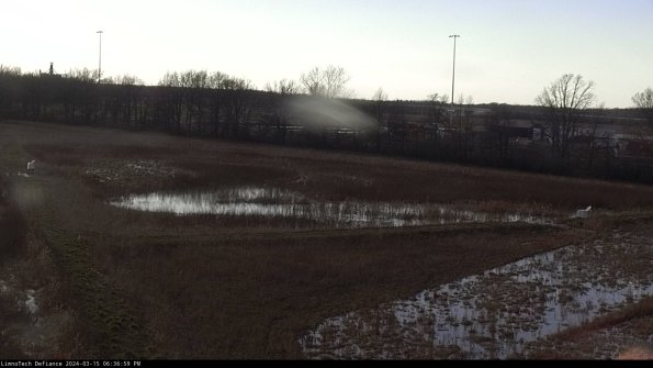 Cell 2_24-03-15_18-37-00-21