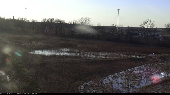 Cell 2_24-03-15_19-10-29-20