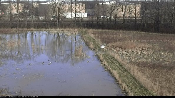 Cell 3 to 4_24-03-15_09-41-54-15