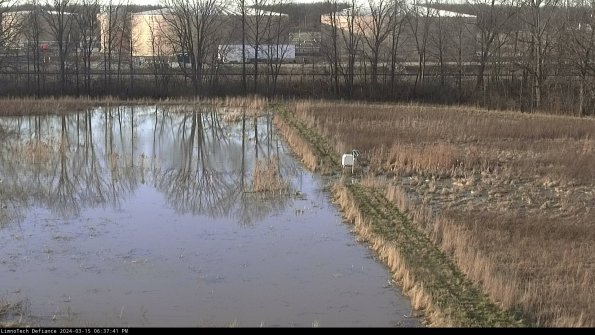 Cell 3 to 4_24-03-15_18-37-42-16