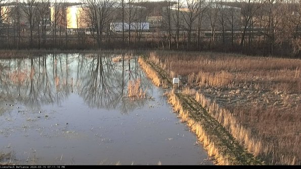 Cell 3 to 4_24-03-15_19-11-11-14