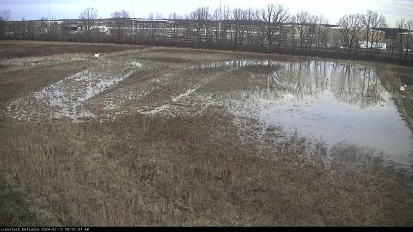 Cell 3_24-03-15_08-01-08-15