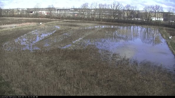 Cell 3_24-03-15_10-15-09-16