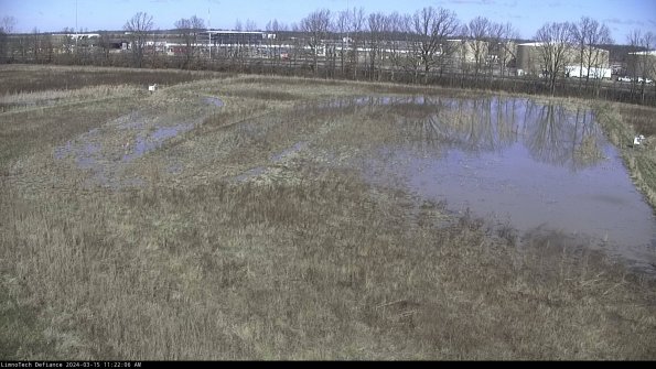 Cell 3_24-03-15_11-22-07-29