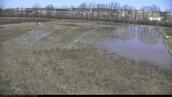 Cell 3_24-03-15_11-55-36-14