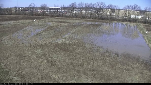 Cell 3_24-03-15_13-02-35-11