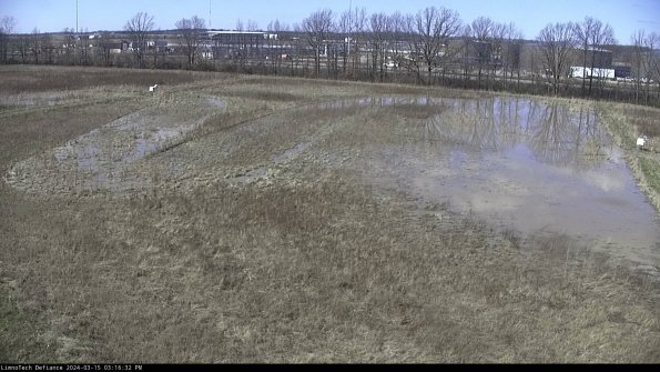 Cell 3_24-03-15_15-16-33-39