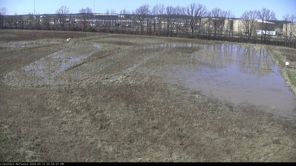 Cell 3_24-03-15_15-50-02-38