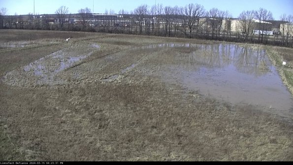 Cell 3_24-03-15_16-23-32-13