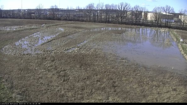 Cell 3_24-03-15_17-30-30-14