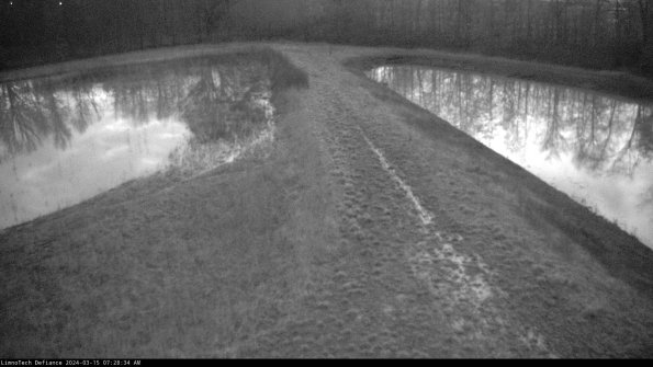 Cell 4 to Basin_24-03-15_07-28-35-16