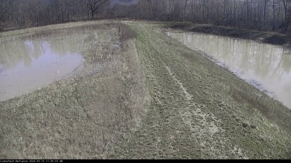 Cell 4 to Basin_24-03-15_11-56-34-17