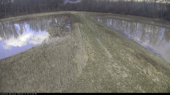 Cell 4 to Basin_24-03-15_15-17-31-15