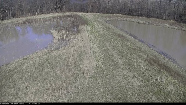 Cell 4 to Basin_24-03-15_15-51-00-14