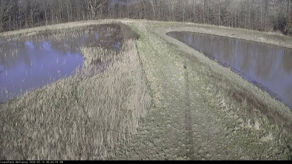 Cell 4 to Basin_24-03-15_18-04-56-15