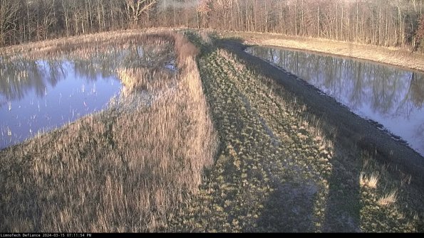 Cell 4 to Basin_24-03-15_19-11-55-12