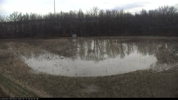 Cell 4_24-03-15_08-40-40-17