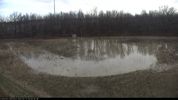 Cell 4_24-03-15_09-08-39-15