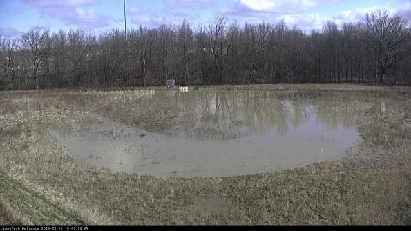 Cell 4_24-03-15_10-49-07-14