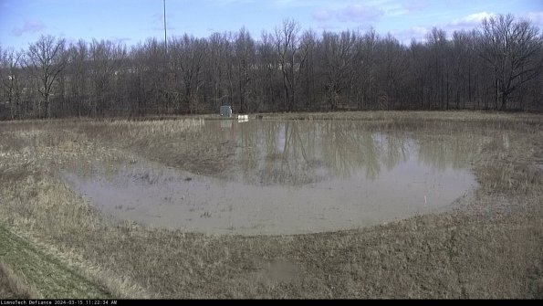 Cell 4_24-03-15_11-22-35-12