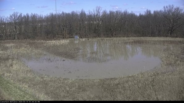 Cell 4_24-03-15_13-36-33-20